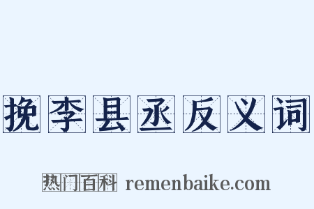 挽李县丞反义词是什么意思的图片